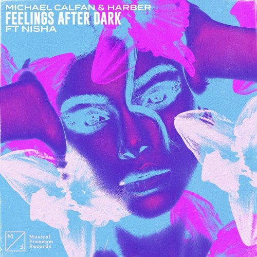Cover of the song Fellings After Dark